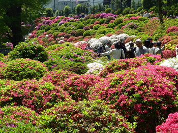 20100418 021.jpg
